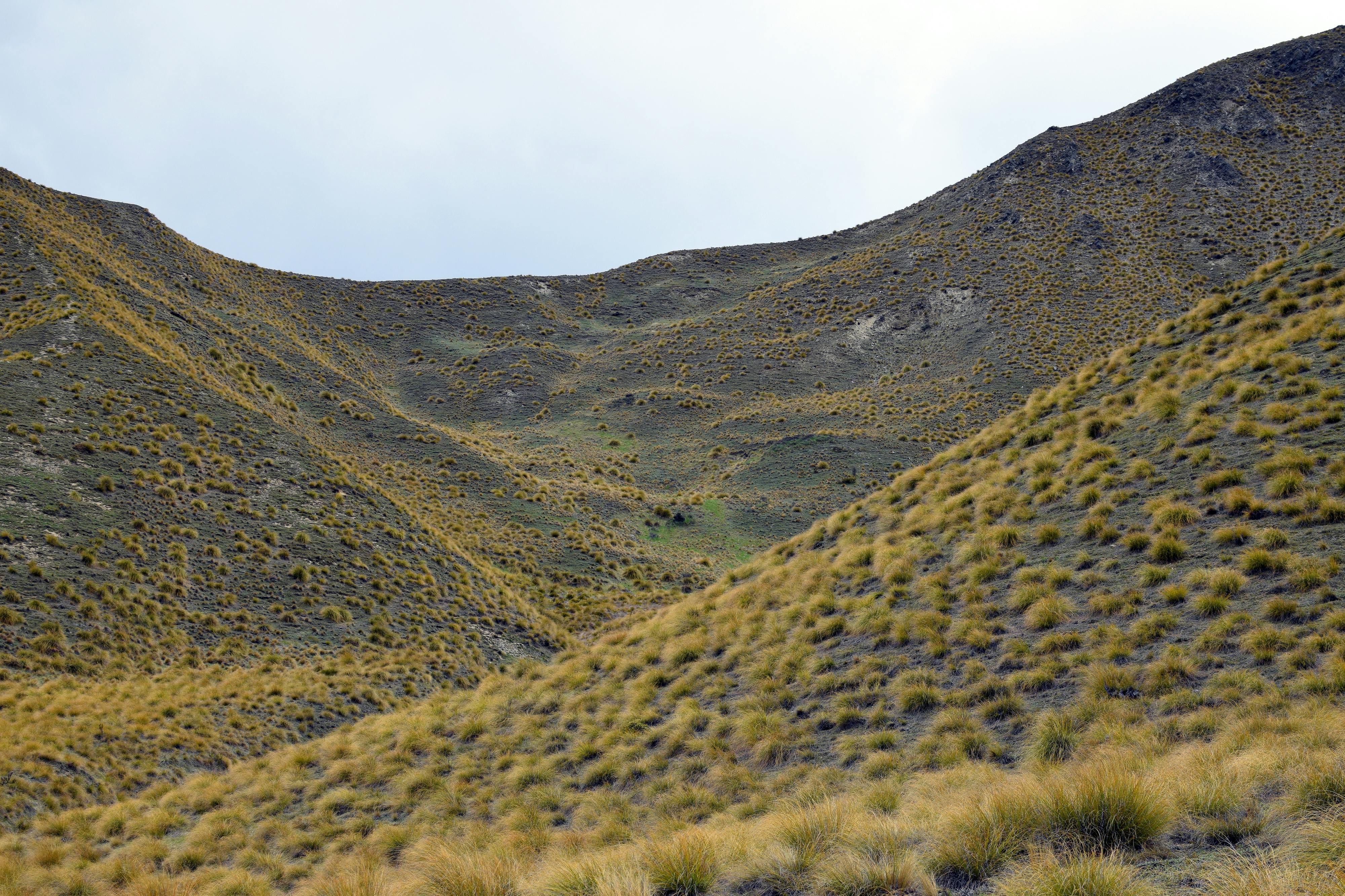 general travel new zealand ltd — Photo by Chris Brown on Pexels