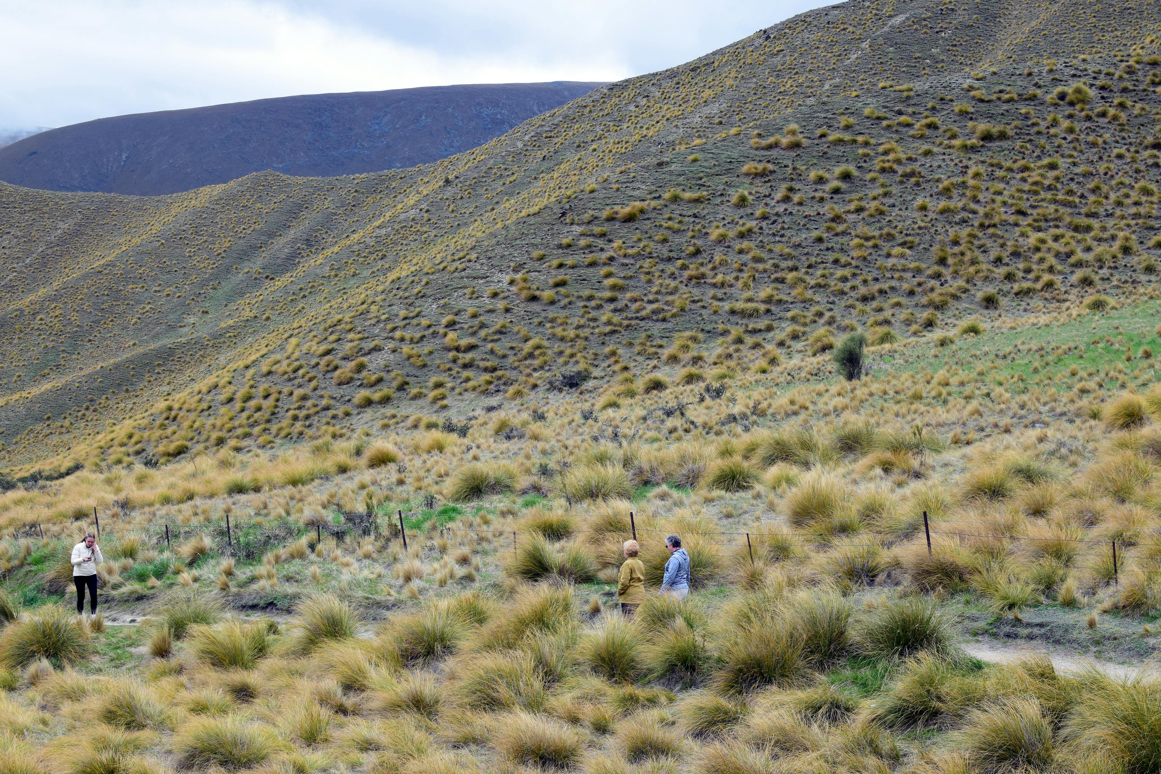 General Travel New Zealand hosts five-city roadshow in India — Photo by Chris Brown on Pexels
