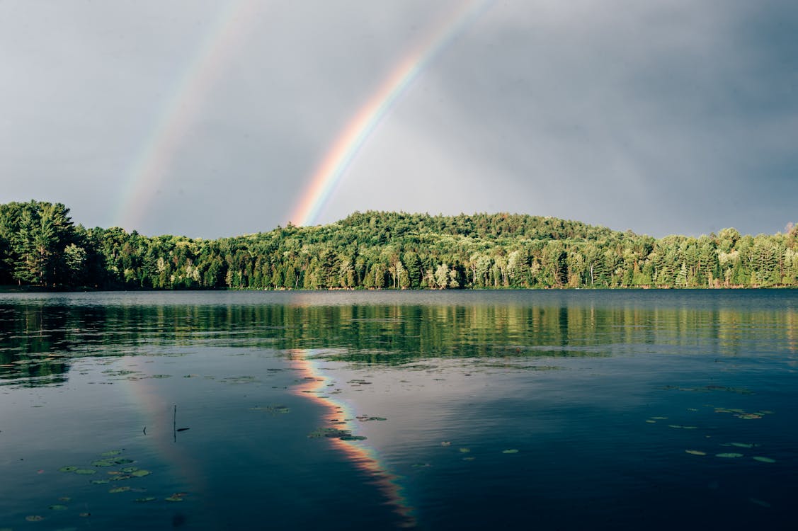 Free Photo Of Rainbow Above Trees Stock Photo