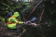 两个穿着雨具的人，正沿着一条长满青苔、潮湿的森林溪流探索，四周树木和岩石环绕