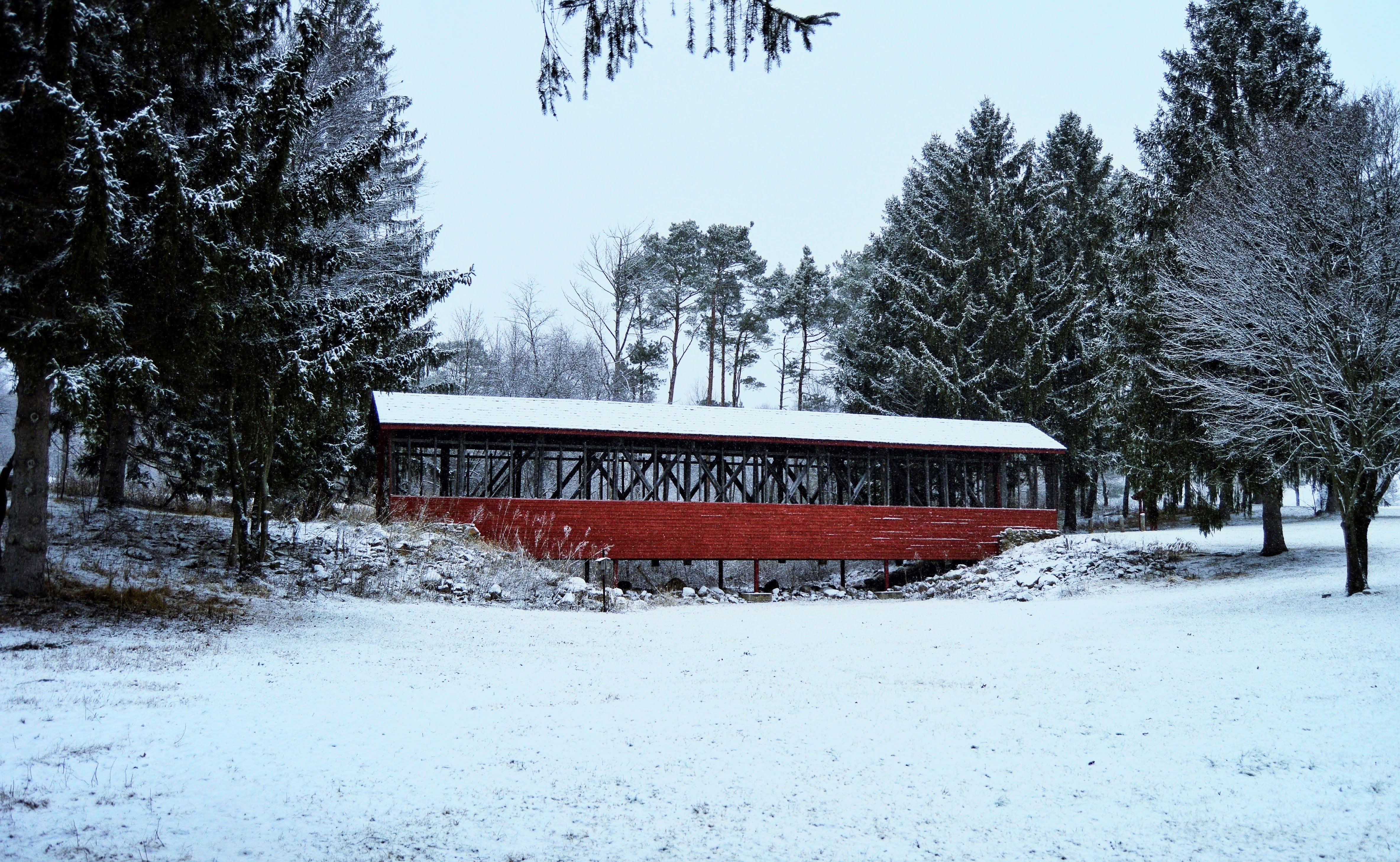 A beautiful winter scene featuring a red covered bridge surrounded by snow-blanketed trees.