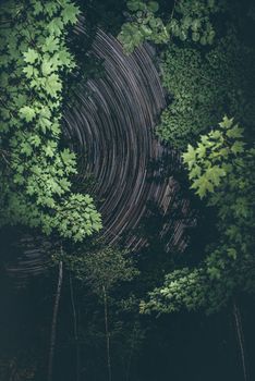 Captivating long exposure of star trails framed by lush green foliage in a serene forest setting.