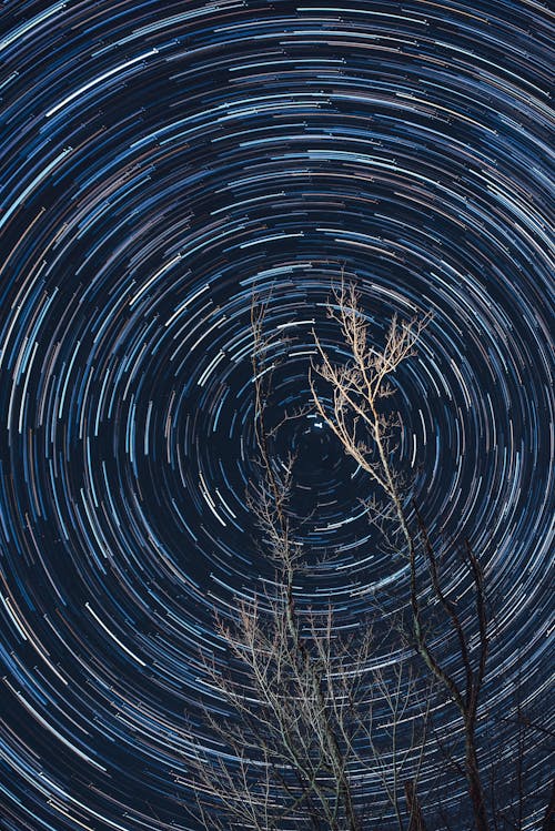 Long Exposure of Photography of Brown Tree