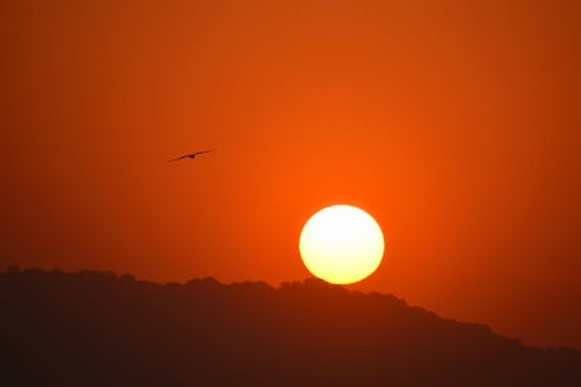 Beautiful sunrise in Mumbai with a bird silhouette against an orange sky.