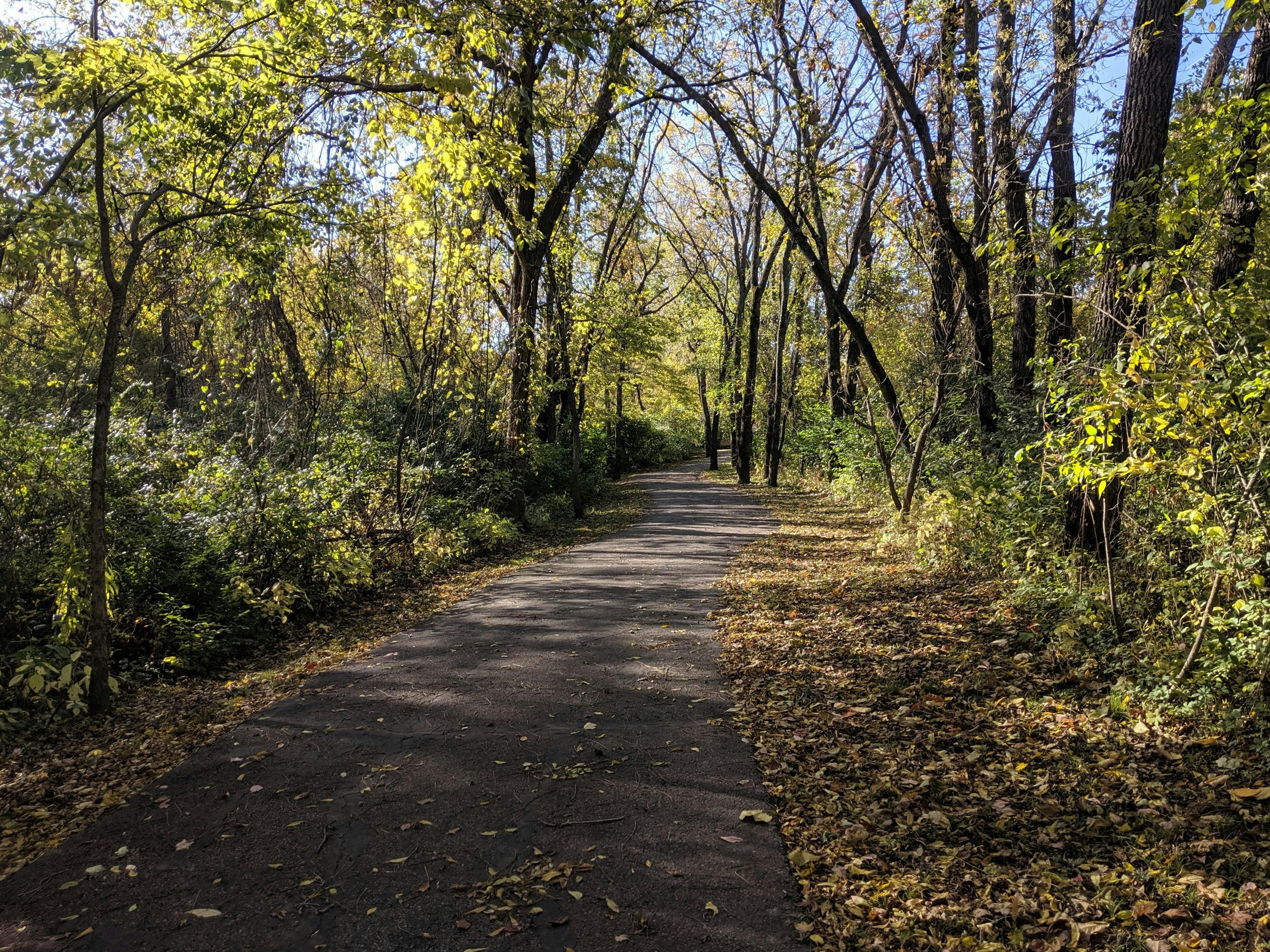 DuPage Forest Preserve executive director leaving for city manager job in Florida — Photo by Sam N on Pexels