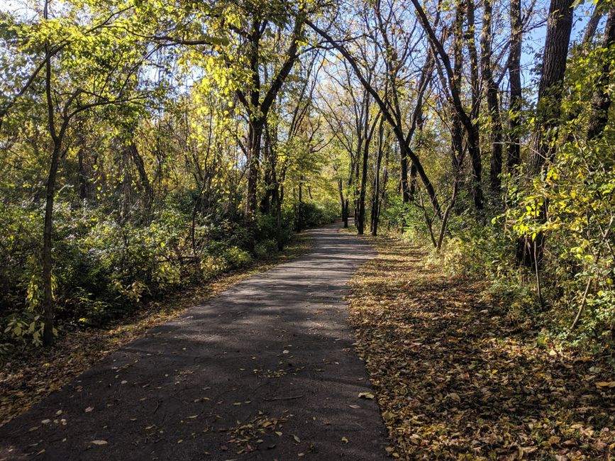 Tranquil forest pathway surrounded by vibrant autumn foliage, perfect for nature walks.