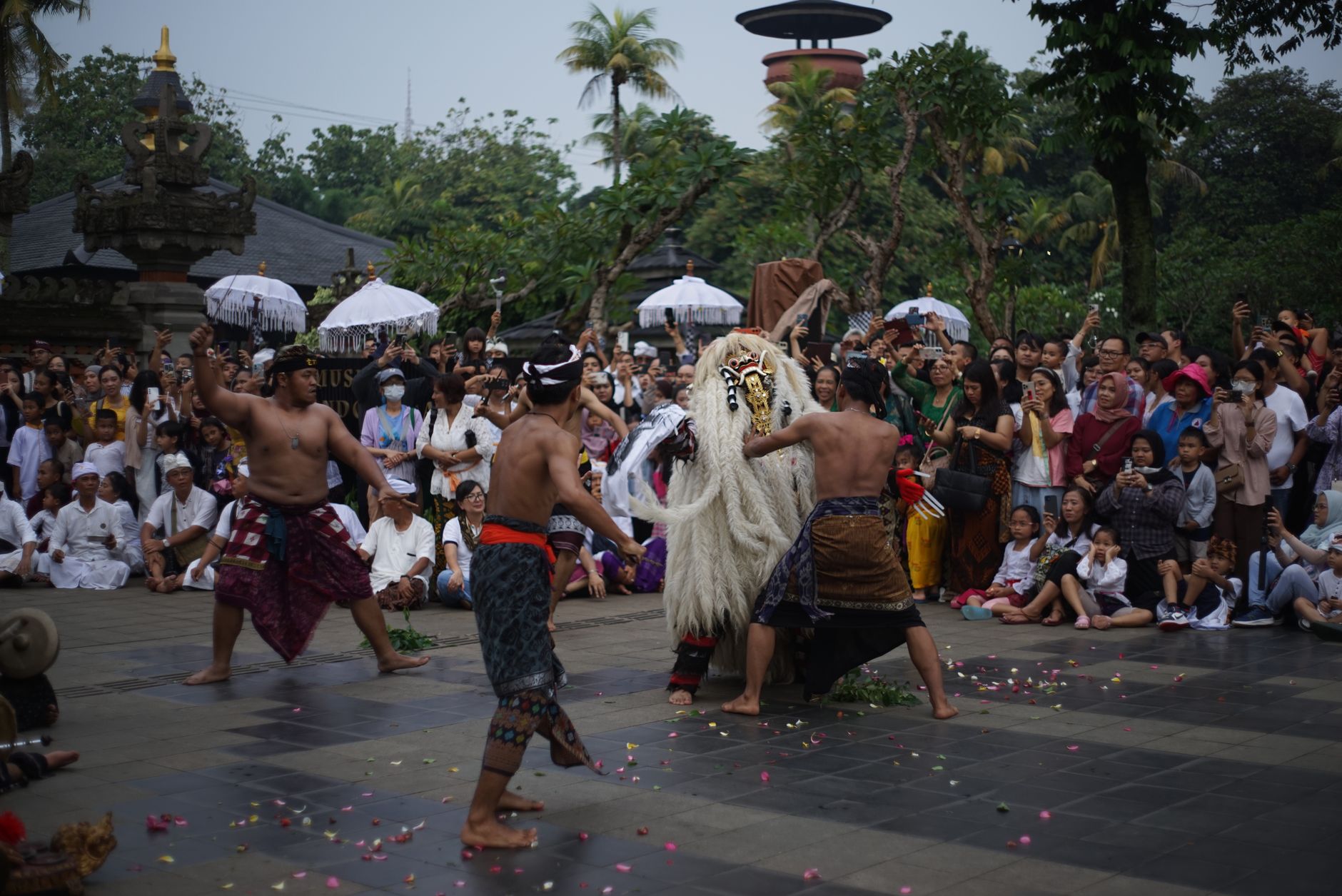 Capturing a vibrant Balinese dance with a lively crowd in a tropical outdoor setting.