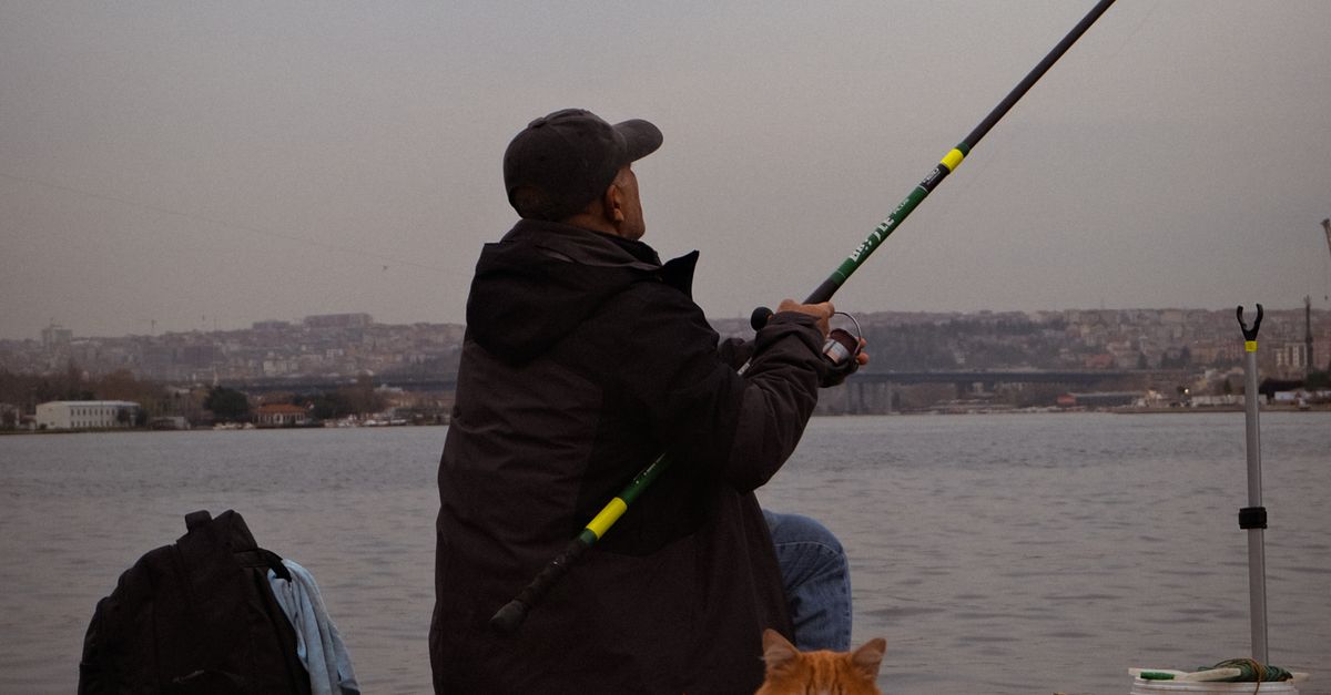 Fishing By Riverside Man Fishing by Riverside with Cat Companion · Free Stock Photo