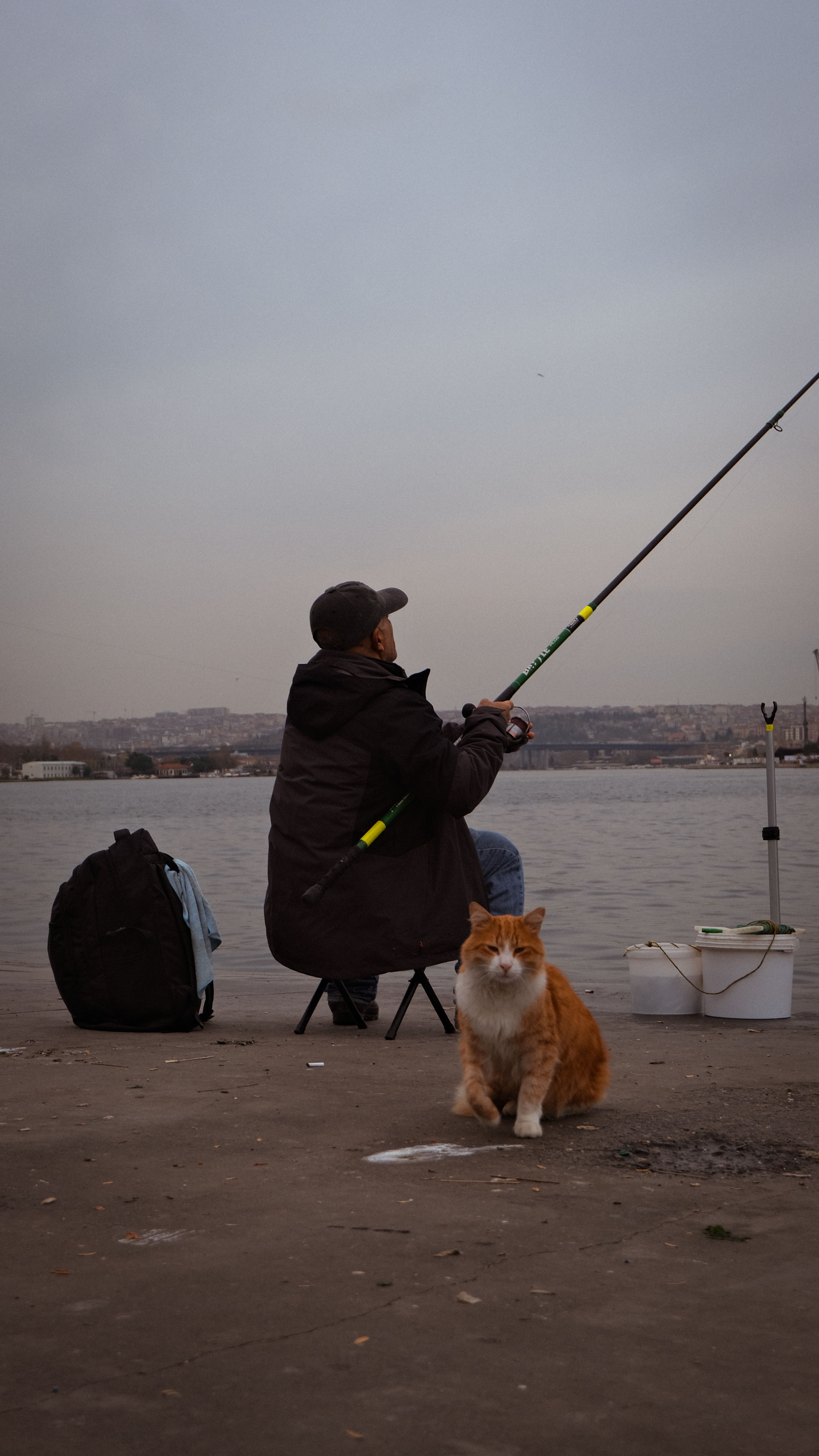 black and white man with fishing pole here kitty kitty Cat Toy Cat Fishing Pole Vector Art,