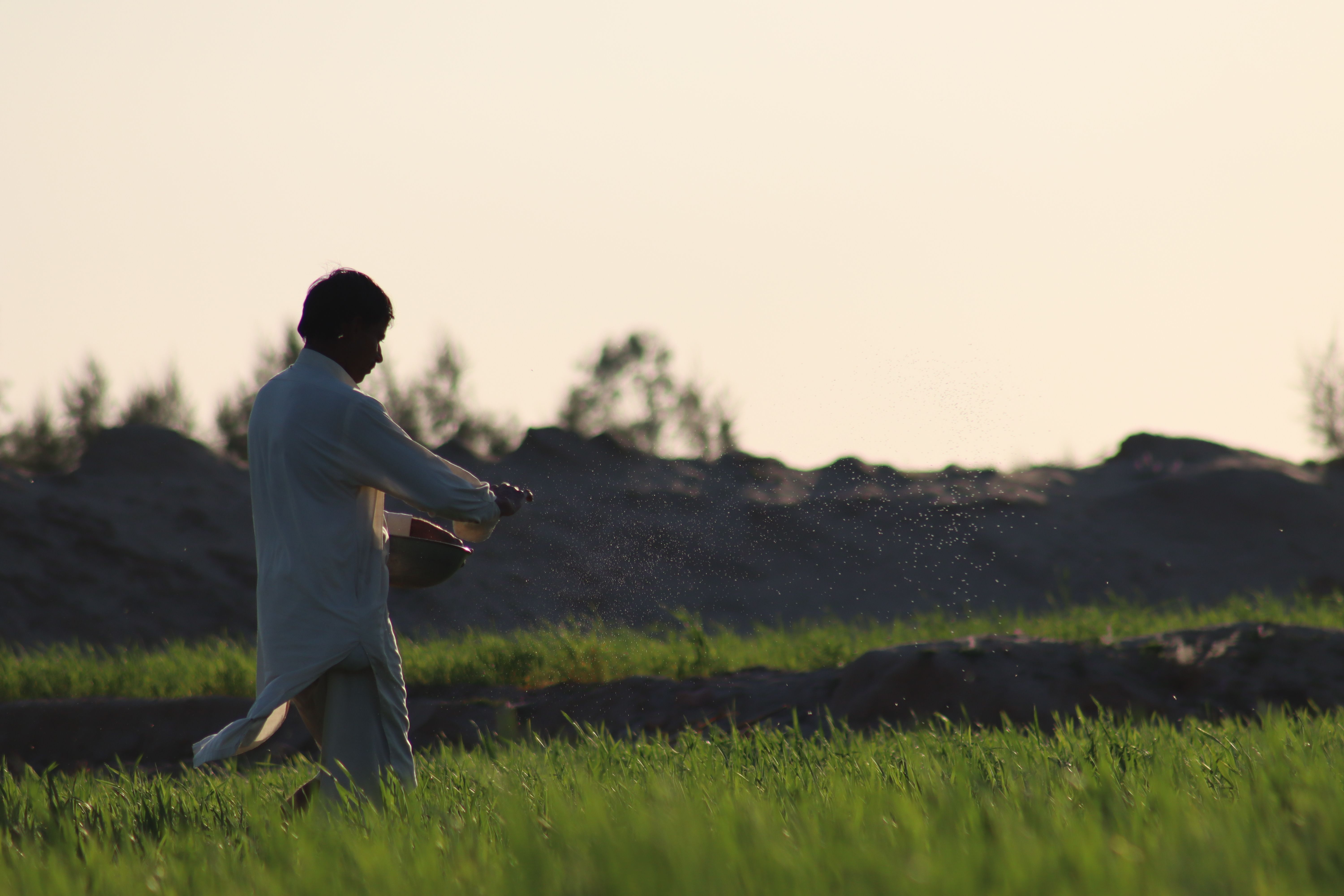 farmer using fertilizer