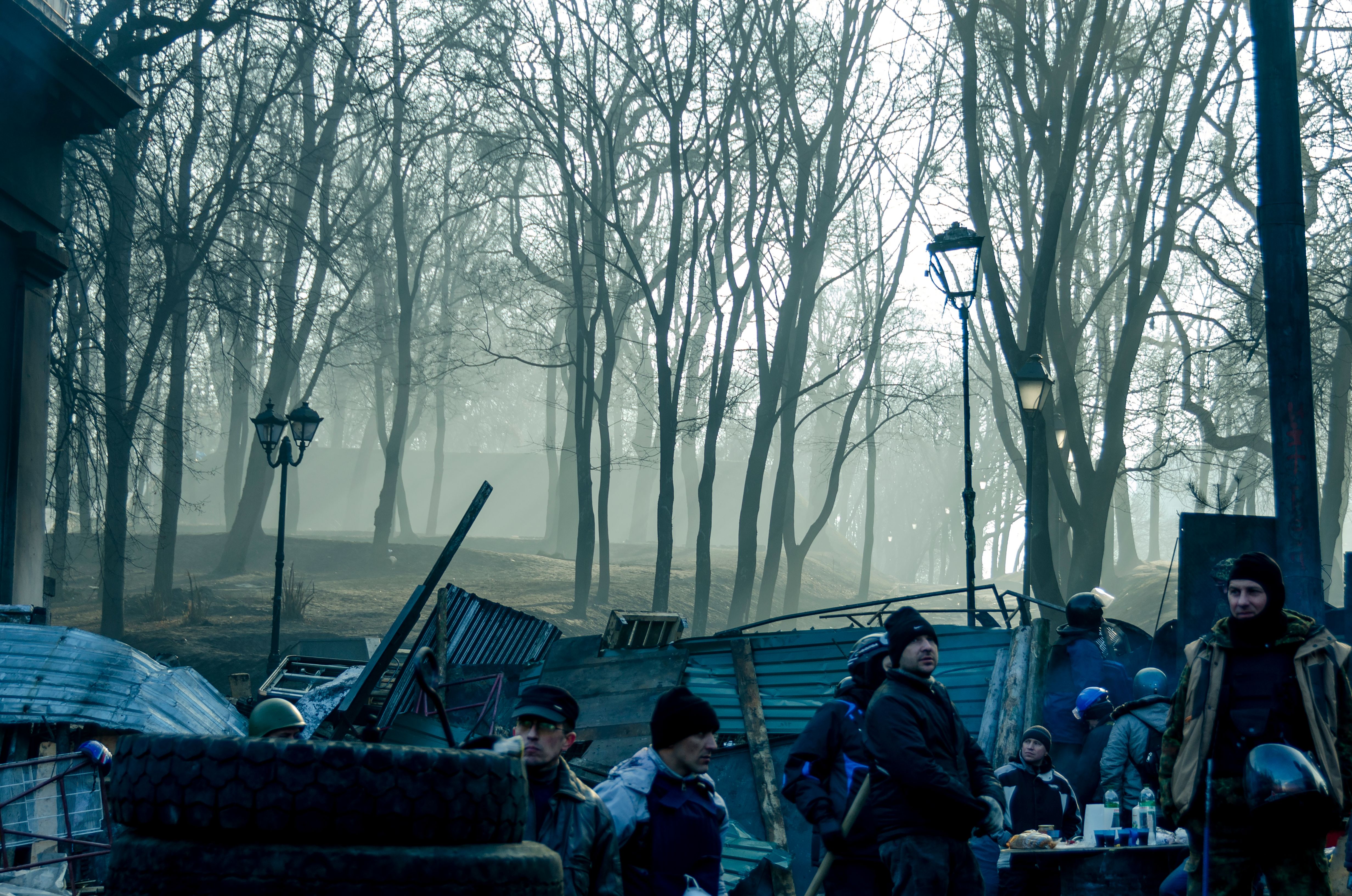 Urban Protest Scene in Misty Kyiv Park · Free Stock Photo
