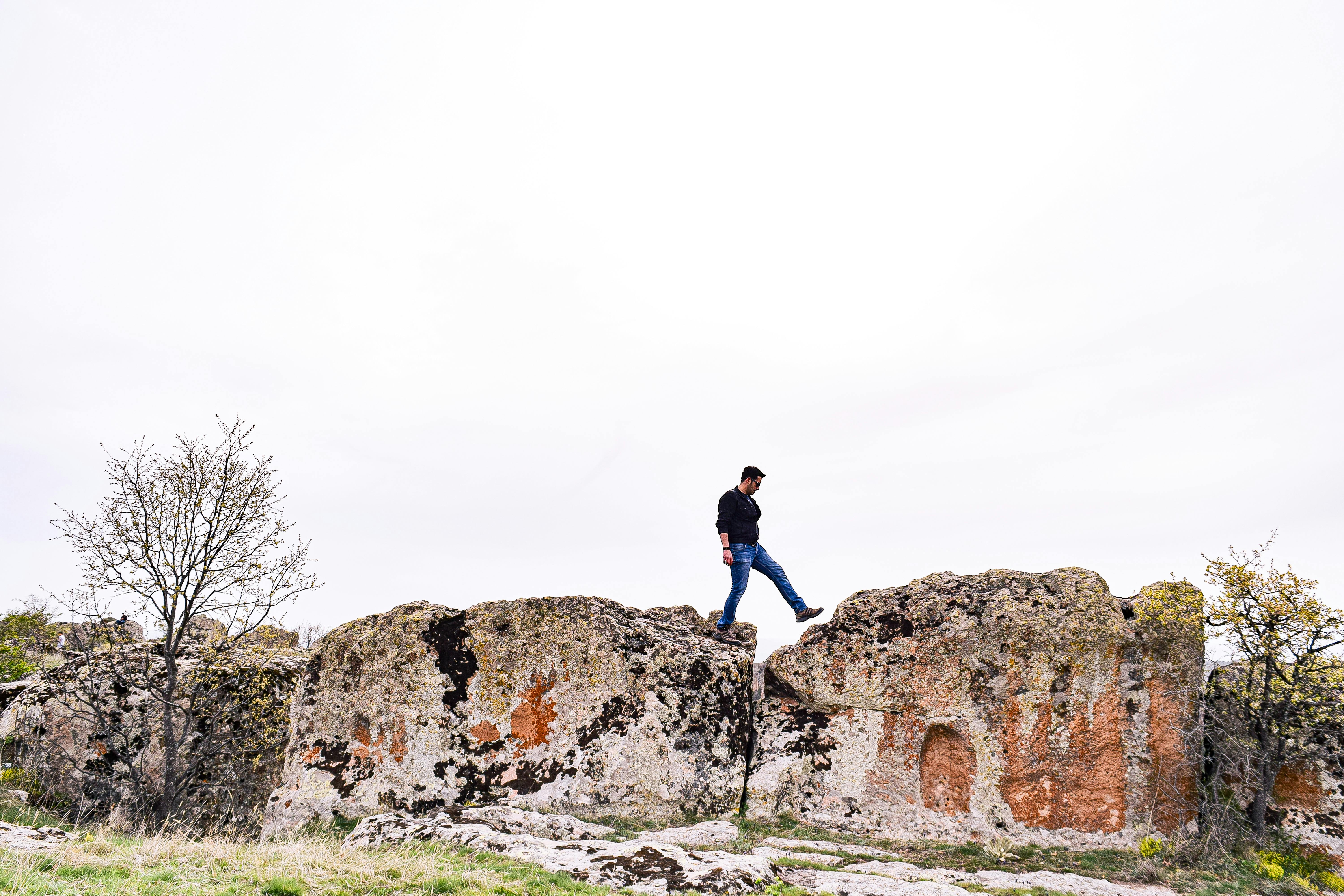 財經：南僑王國的冒險：陳飛龍探索人煙稀少的未來之路
