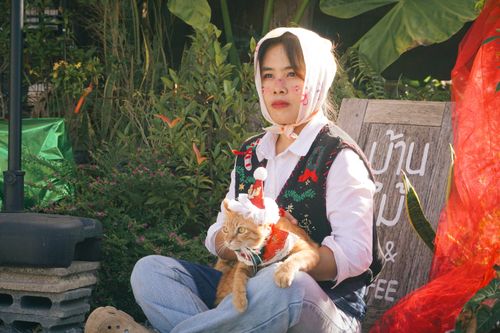 Free A person with festive clothing holds a ginger cat wearing a Santa hat outdoors. Stock Photo