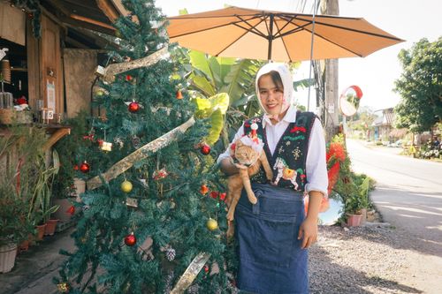 Free A woman with a cat stands beside a decorated Christmas tree outdoors. Festive scene with bright daylight. Stock Photo