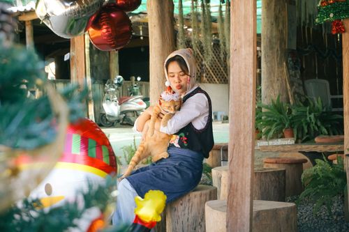 Free Woman holding a cat in a cozy indoor setting with Christmas decorations. Stock Photo