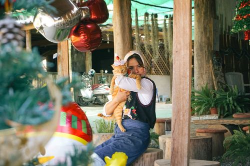Free Woman in festive attire cuddling a cat indoors with holiday decorations. Stock Photo
