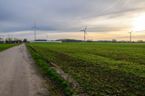 Free An expansive green field featuring wind turbines under a cloudy sky during sunset. Stock Photo