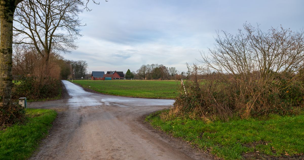 A rural dirt road intersection in open countryside under a clear sky.