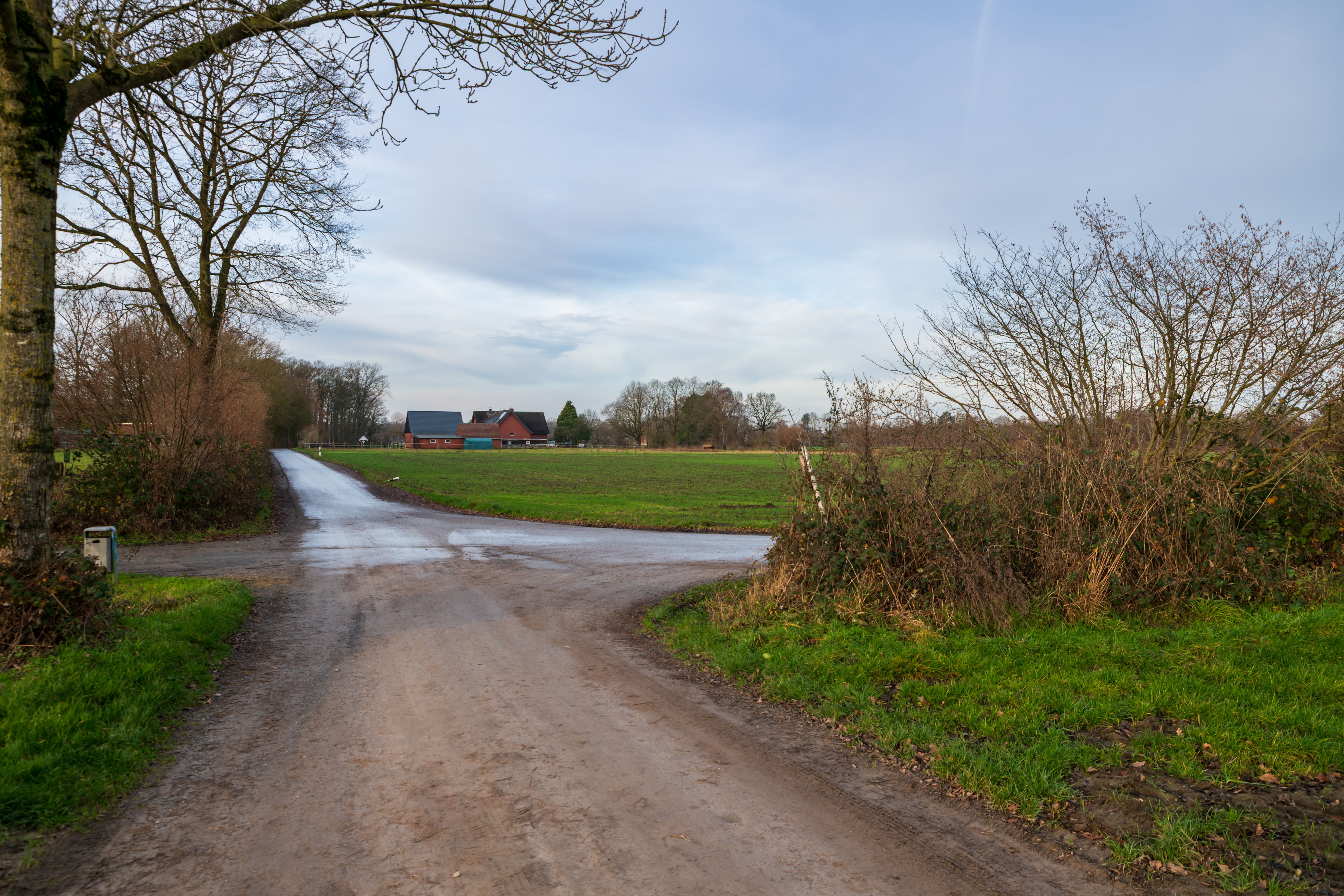 Rural Dirt Road Intersection in Countryside · Free Stock Photo