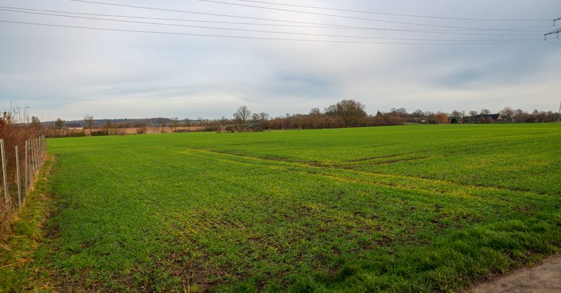 Que peut-on faire sur son terrain à la campagne ? Droits, limites et obligations
