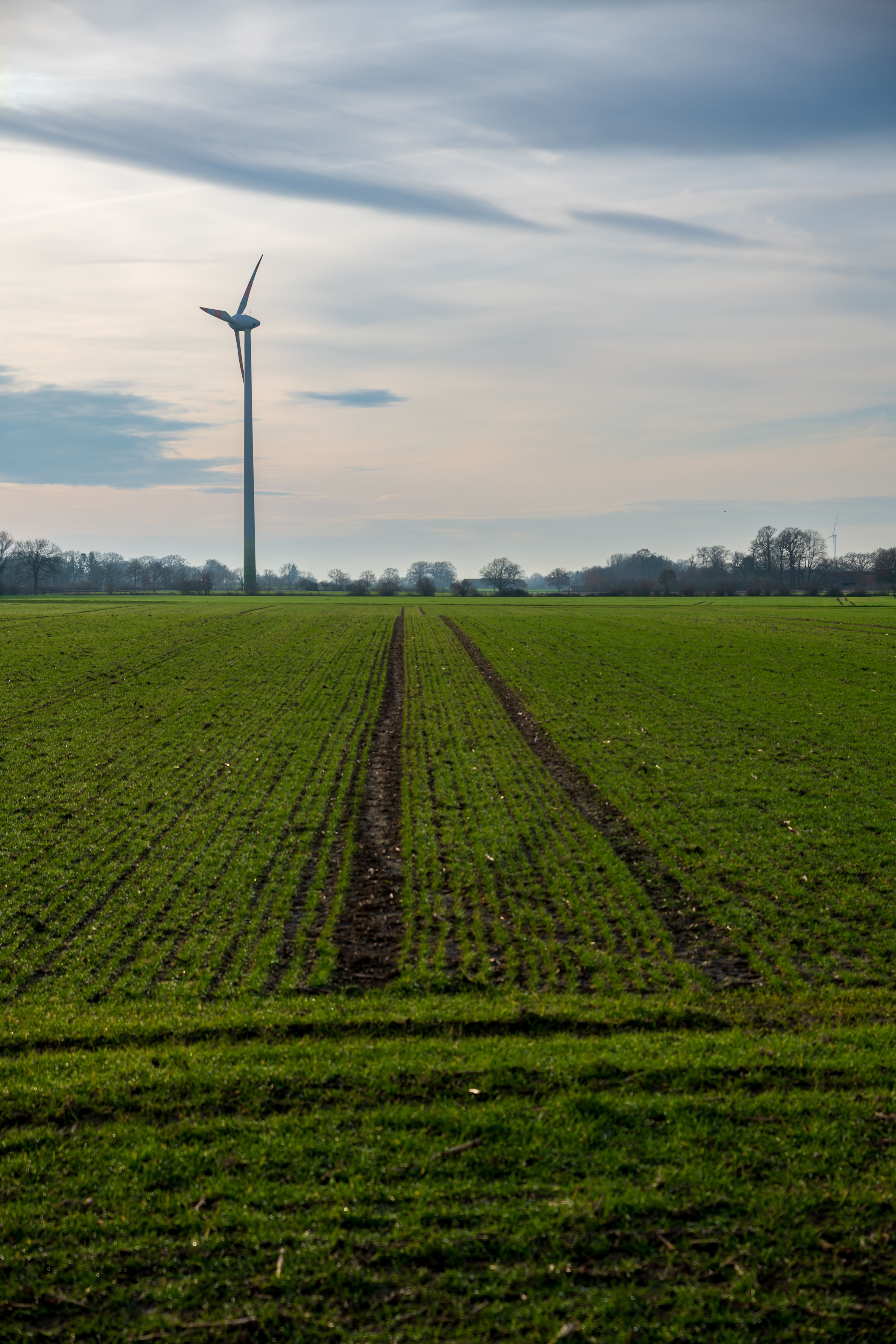 wind turbine in a green field on cloudy day