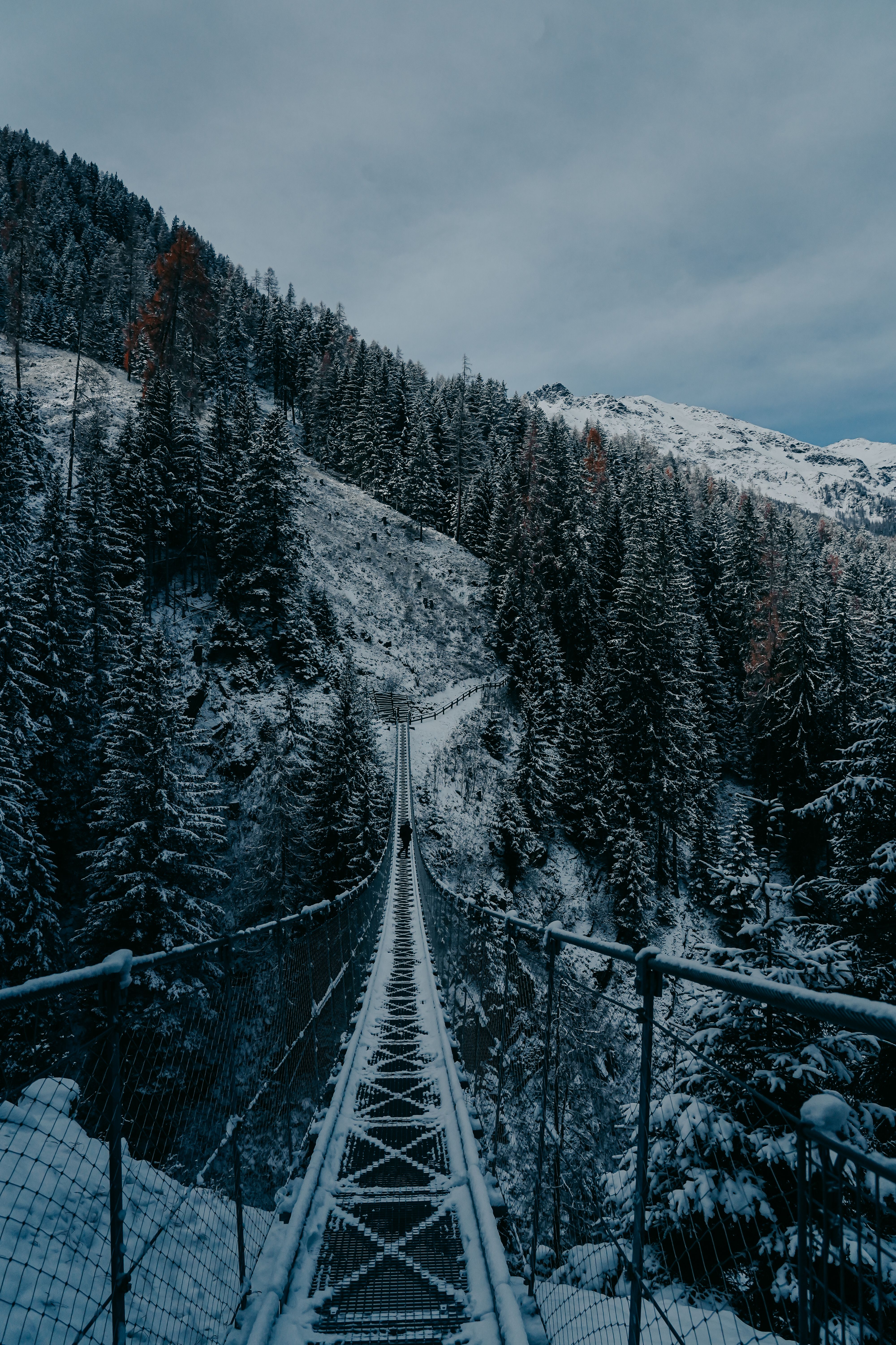 Snowy Suspension Bridge in Winter Wonderland · Free Stock Photo
