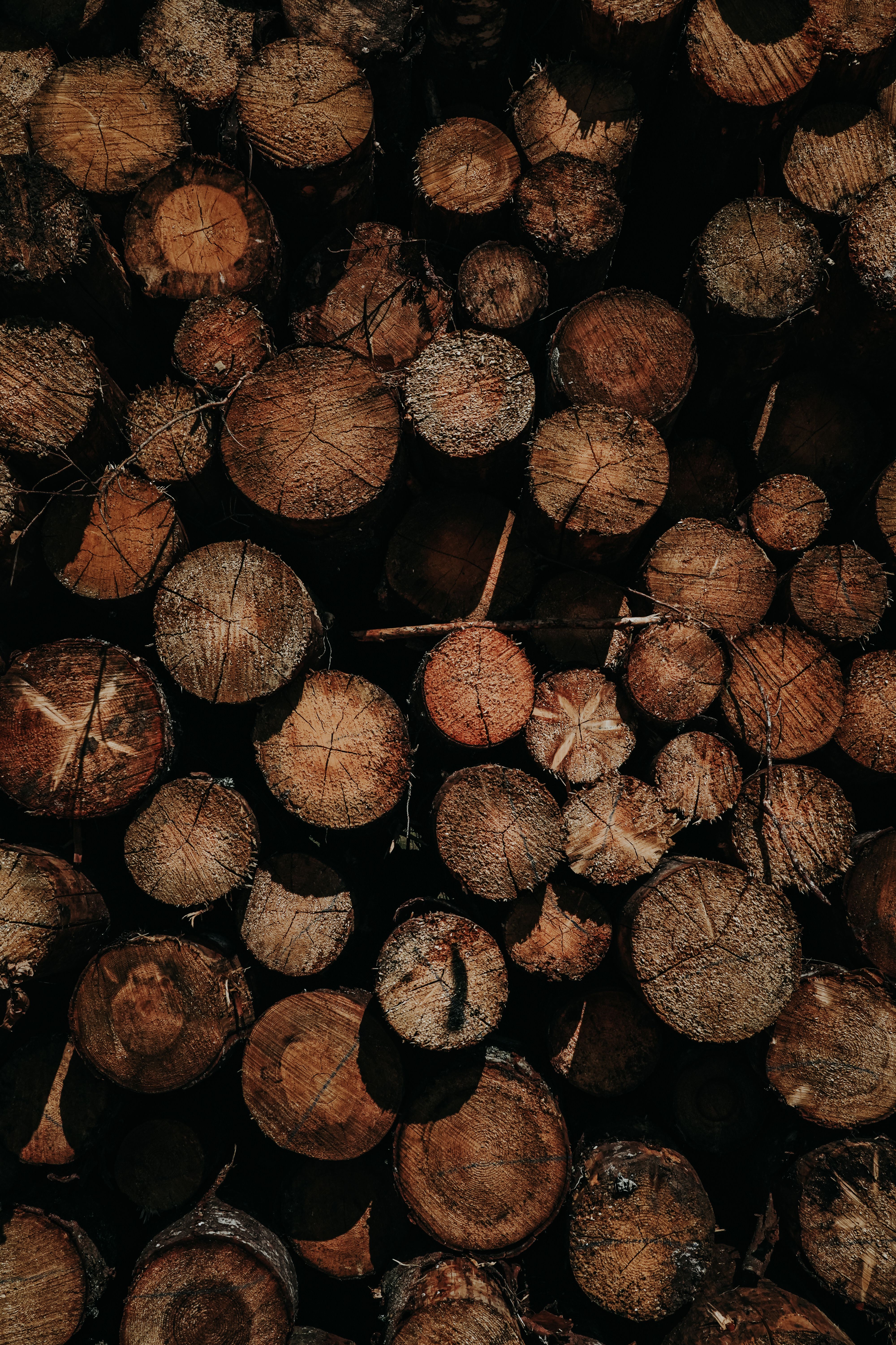 Stacked Peppels Photos, Download The BEST Free Stacked Peppels Stock ...