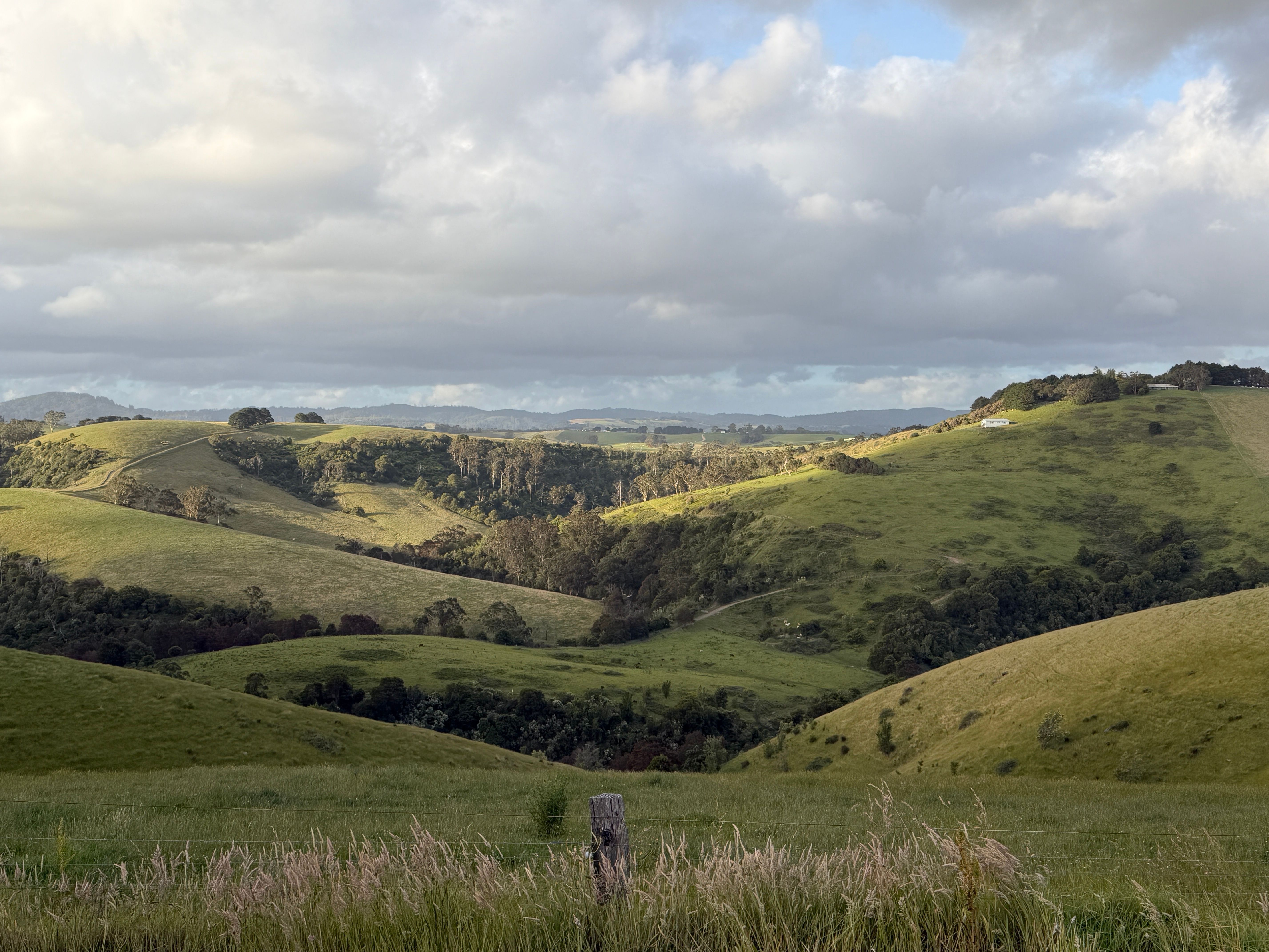 Lush rolling green hills in the Cardinia region of Gippsland, Victoria