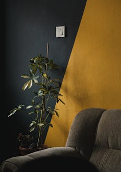 Stylish interior featuring a vibrant yellow accent wall, green plant, and gray armchair in Istanbul, Türkiye.