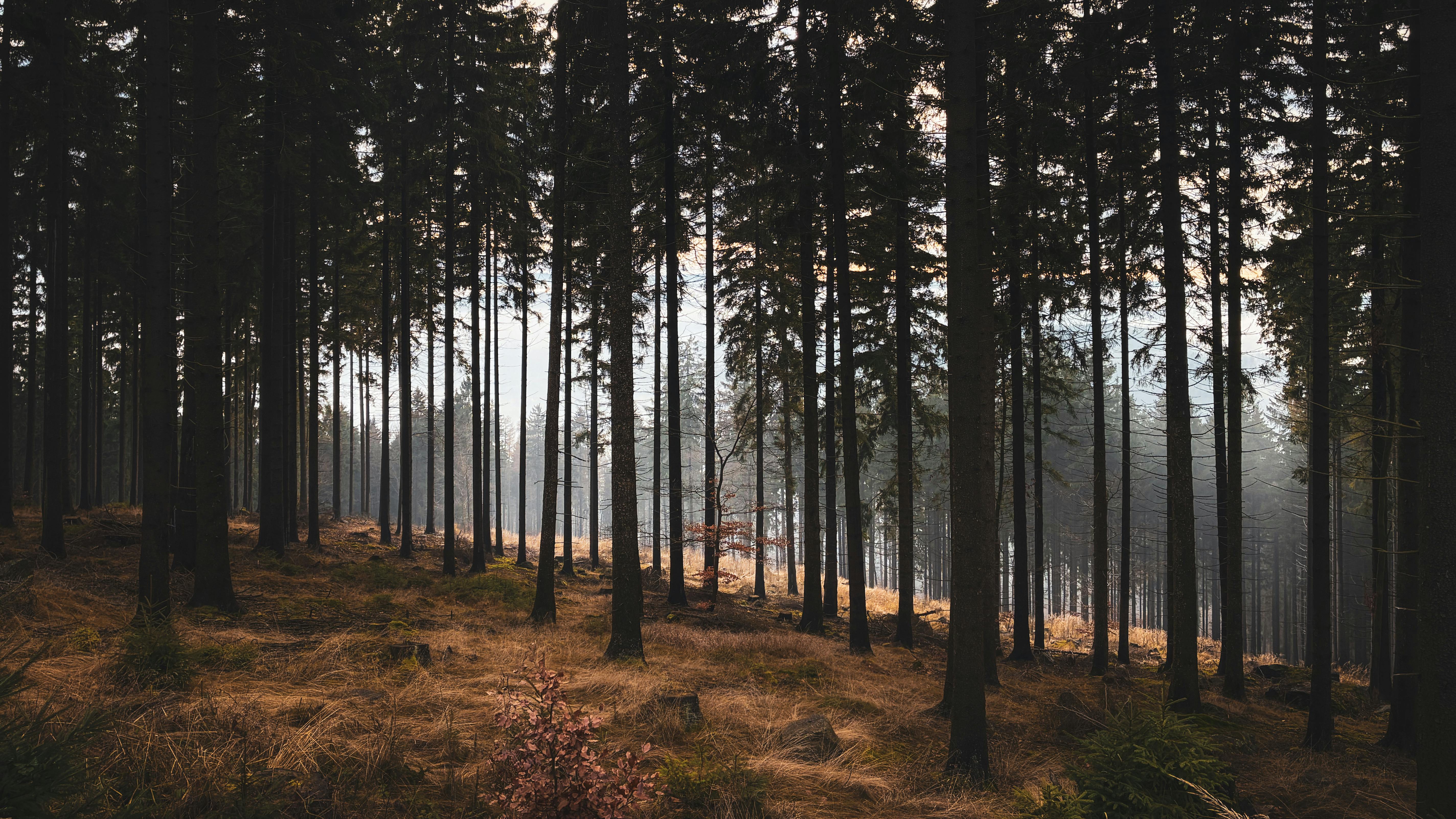 청주 재산분할 변호사
