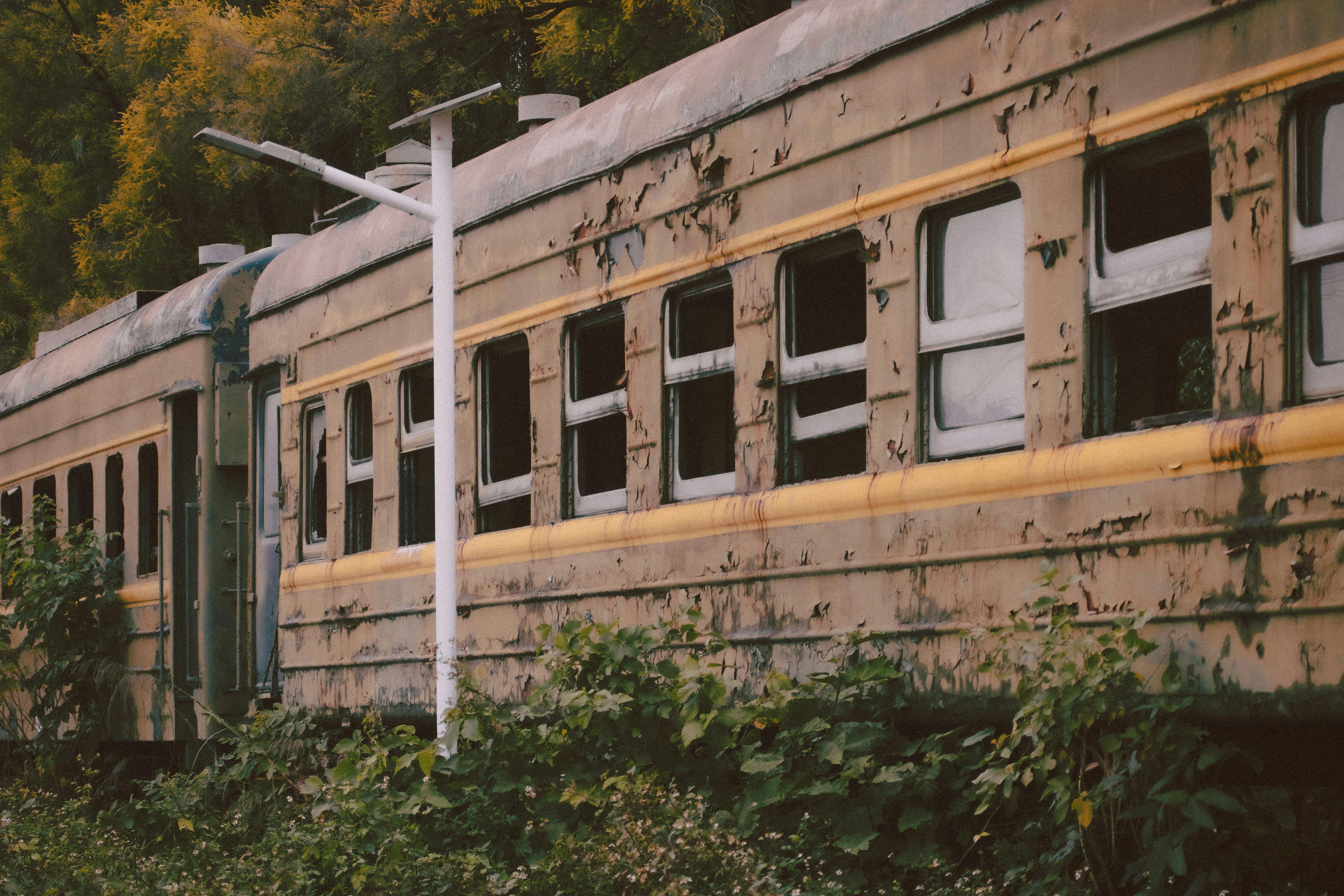 The Ultimate Guide to Memory Hacks Inspired by Language Acquisition