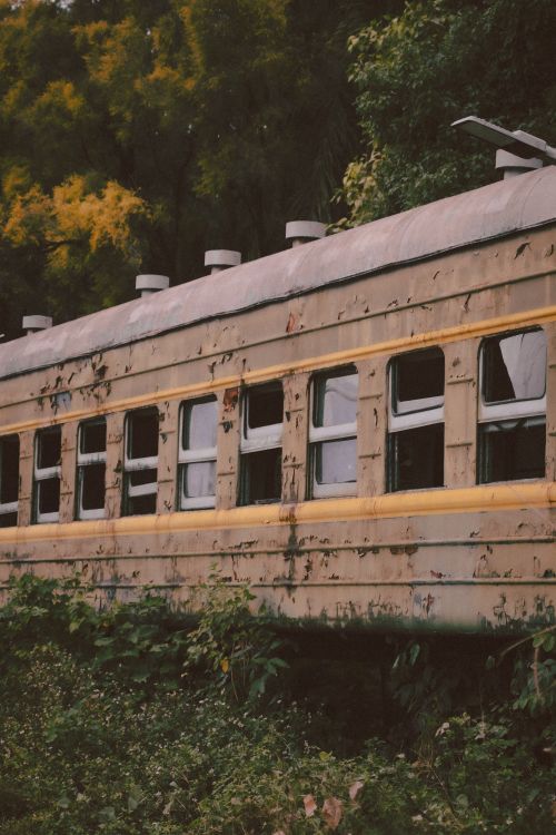 Free An old abandoned train car surrounded by lush vegetation and trees. Stock Photo