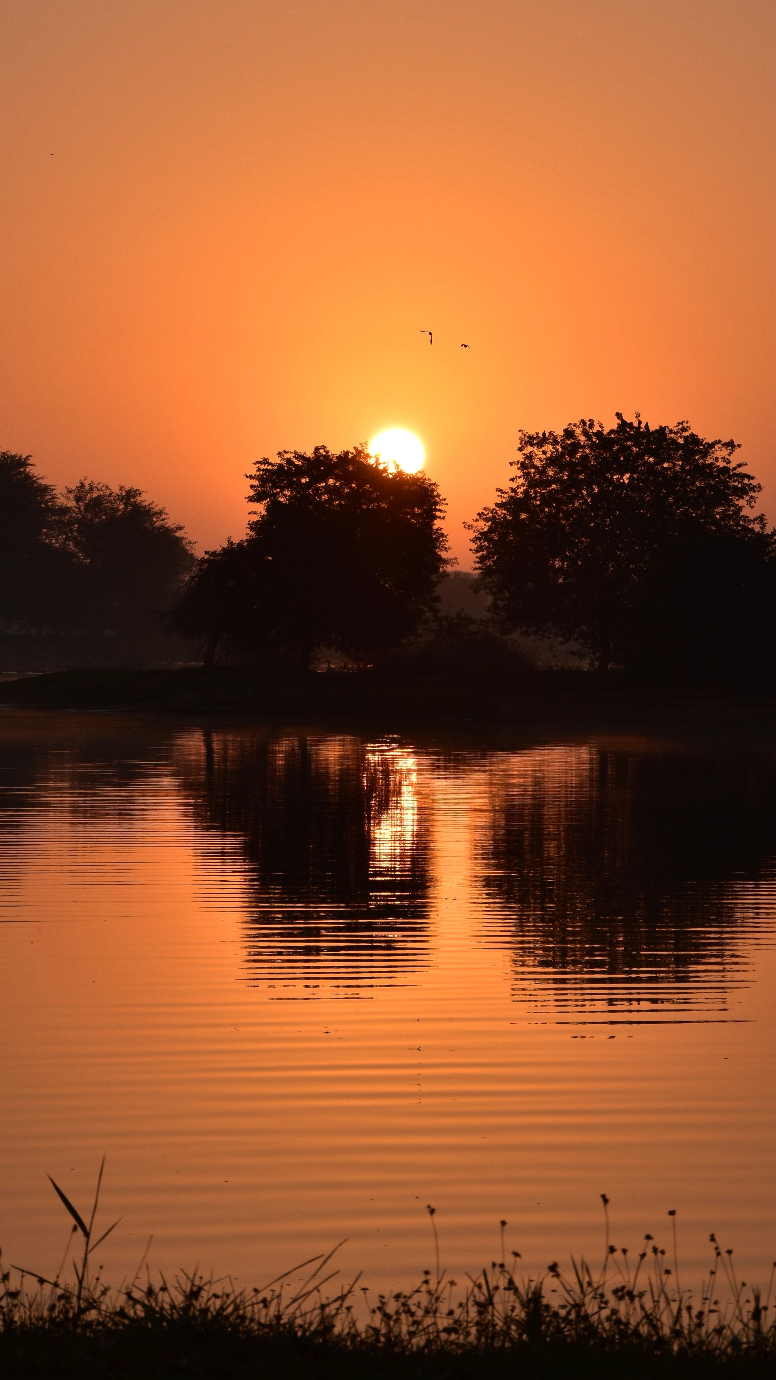 Serene Sunrise Over a Calm Lake Reflection · Free Stock Photo