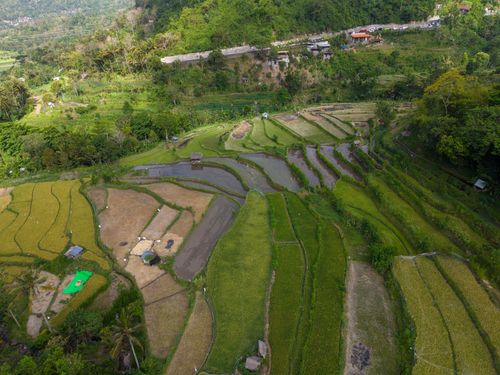 Free Scenic aerial view of lush rice terraces surrounded by green hills in Bali, Indonesia. Stock Photo
