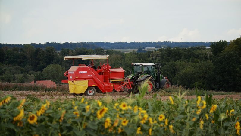 Chuva e Temporais Aumentam: Impacto no Agro e Previsão Detalhada Chuva e Temporais Aumentam: Impacto no Agro e Previsão Detalhada - Agro | Estrato