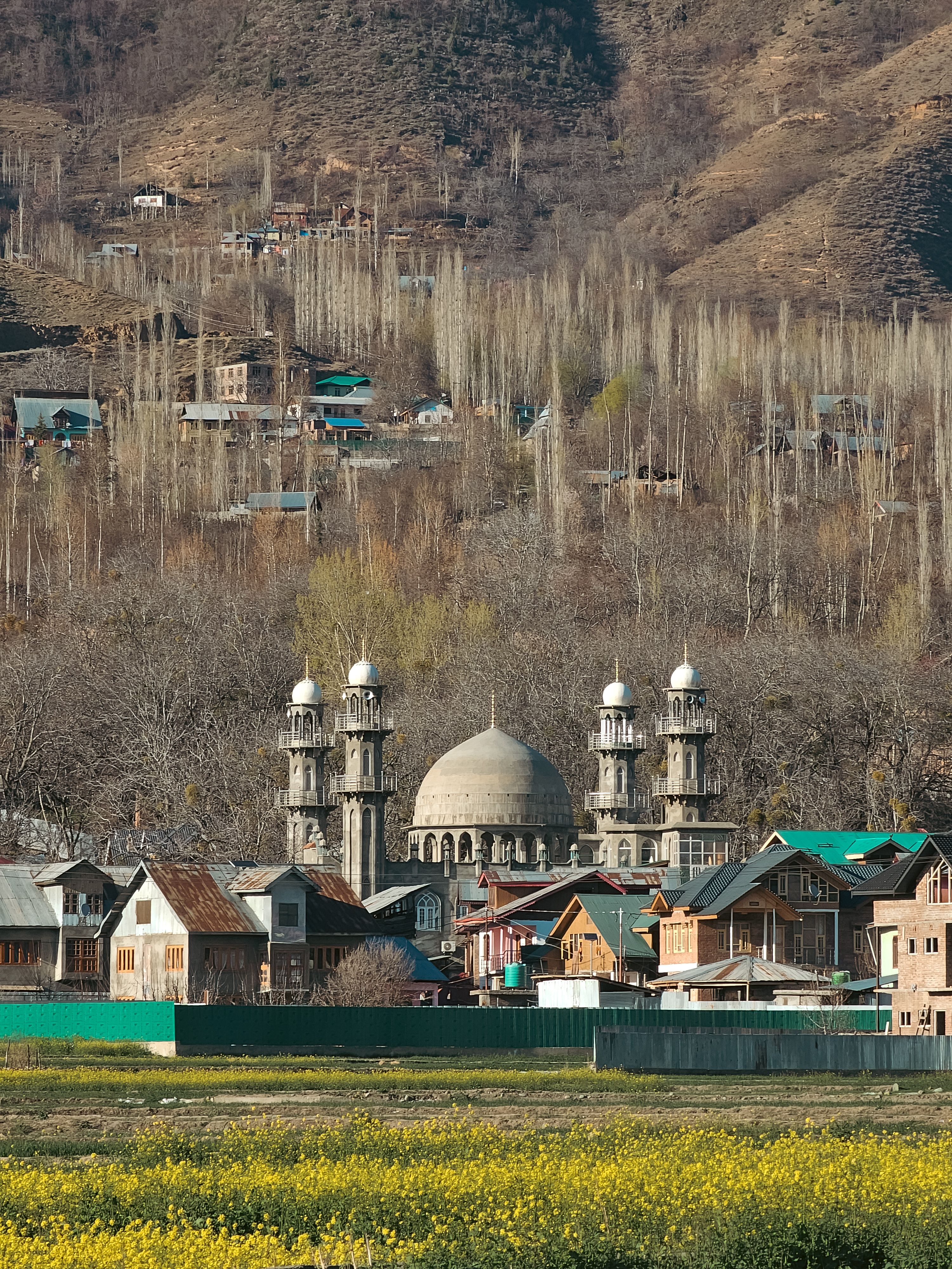 Scenic Mosque Landscape in Rustic Village · Free Stock Photo
