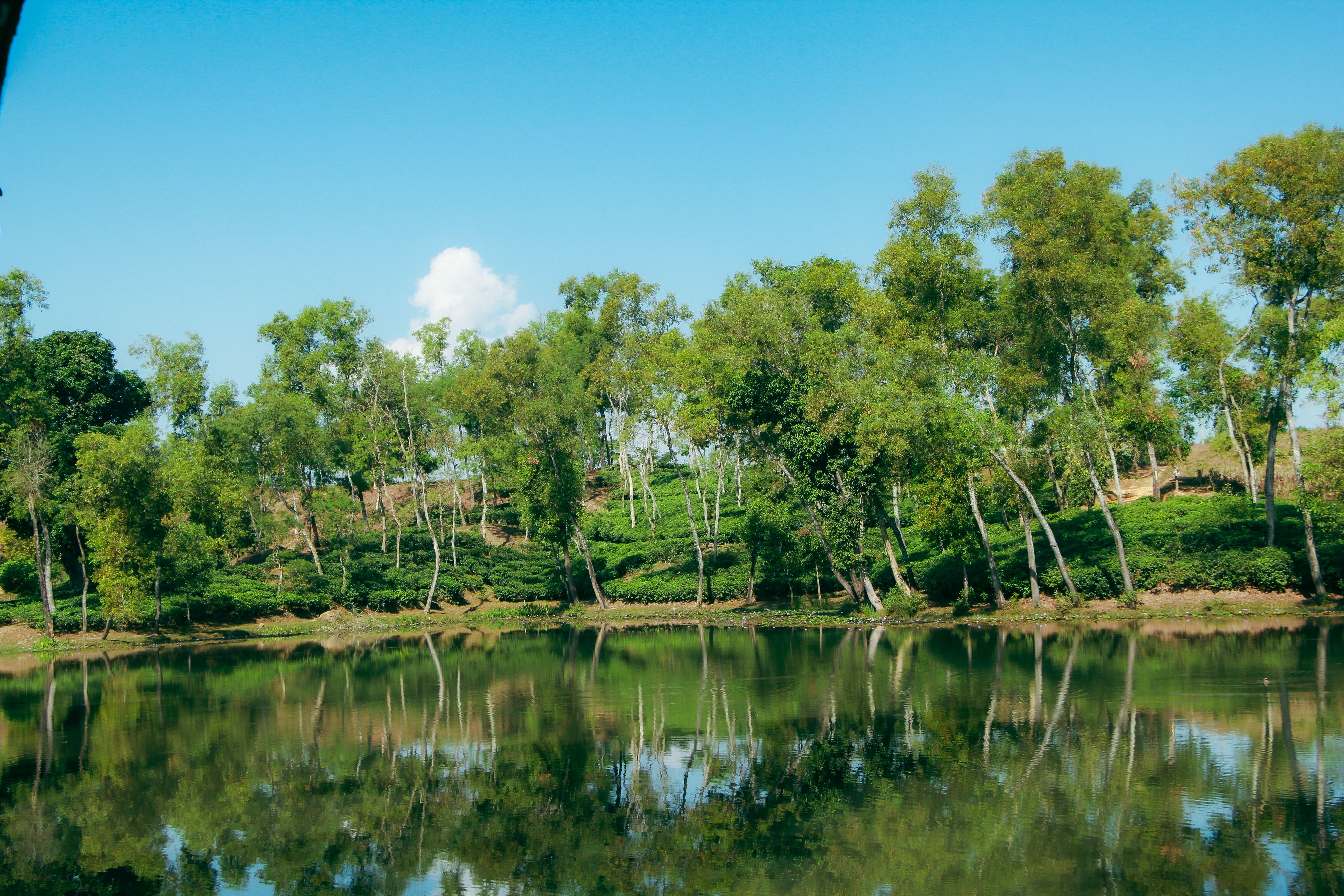 Sylhet