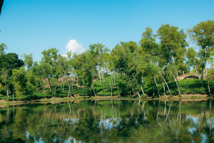 Srimangal & the tea hills