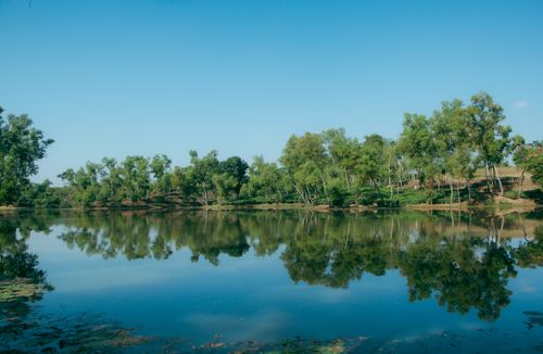 Free Serene view of trees reflecting in Madhabpur Lake, nestled in Kamalganj, Sylhet, Bangladesh. Stock Photo