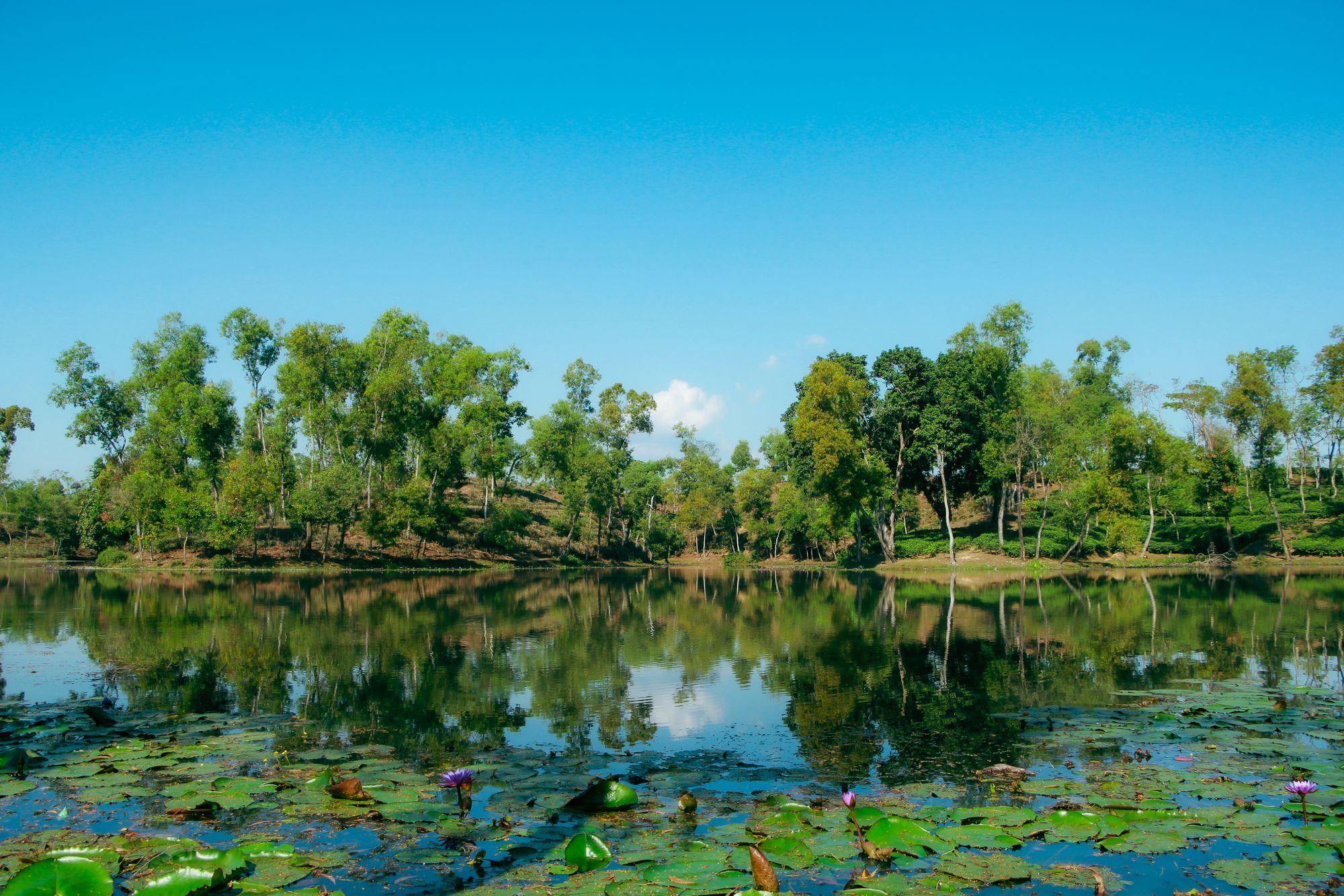 Sylhet