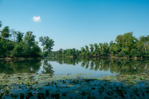 Free Tranquil reflection of trees and lush greenery on Madhabpur Lake in Kamalganj, Bangladesh. Stock Photo