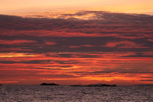 Free Vibrant sunrise over Cove Island Park in Stamford, Connecticut with vivid red and orange skies. Stock Photo