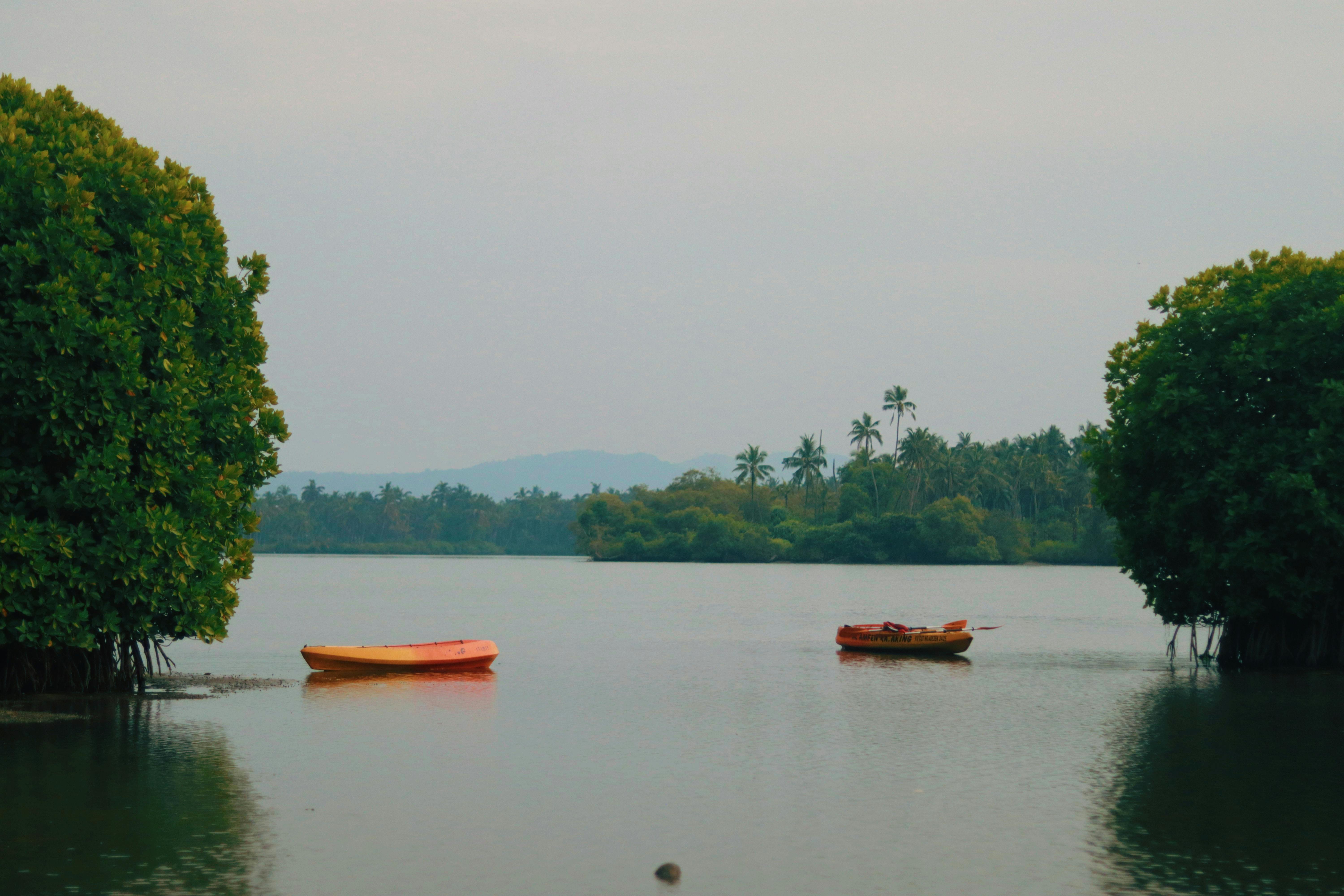 Effective Viral Content Strategies to Boost Your Reach