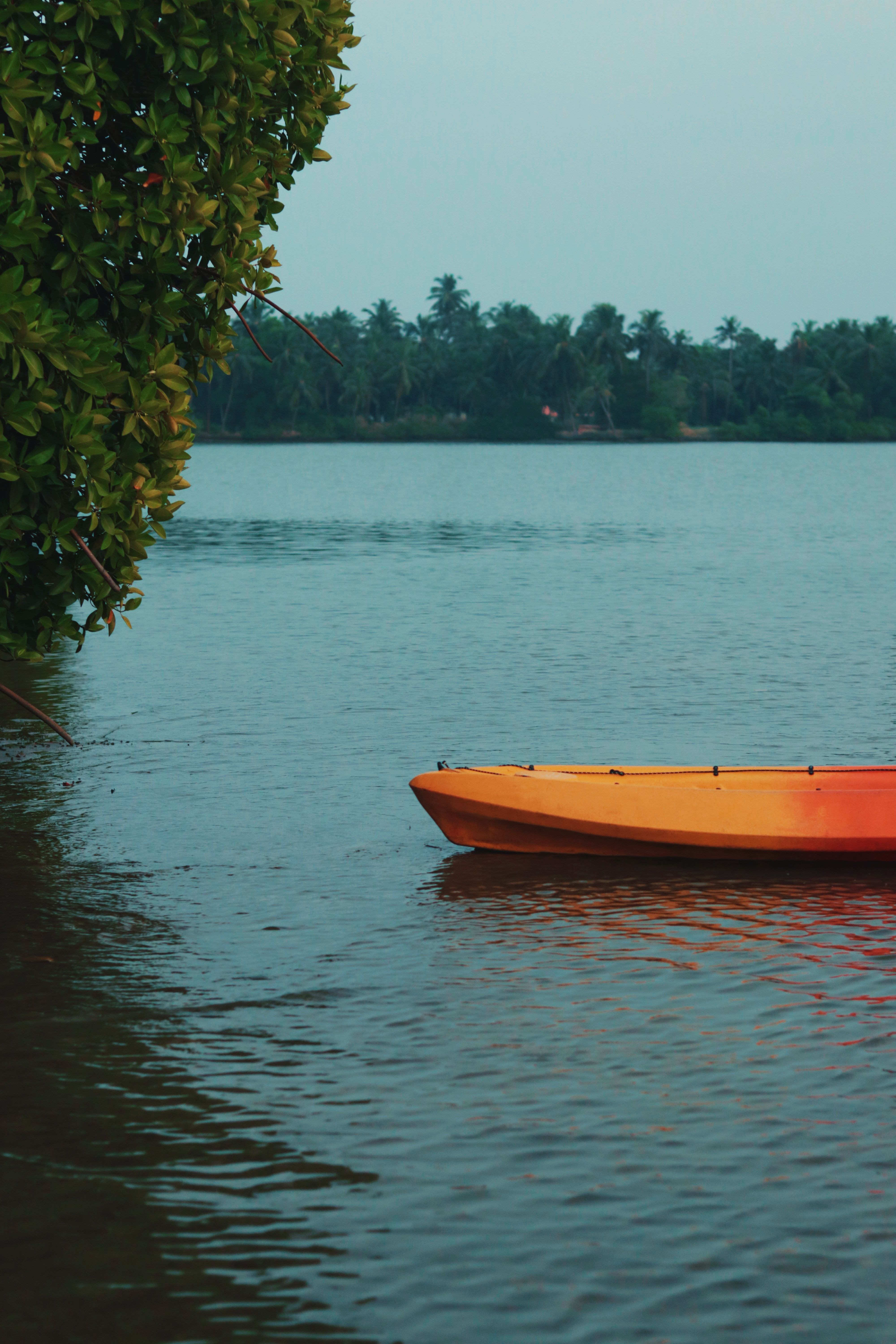 Tranquil Lake Scene with Orange Kayak · Free Stock Photo