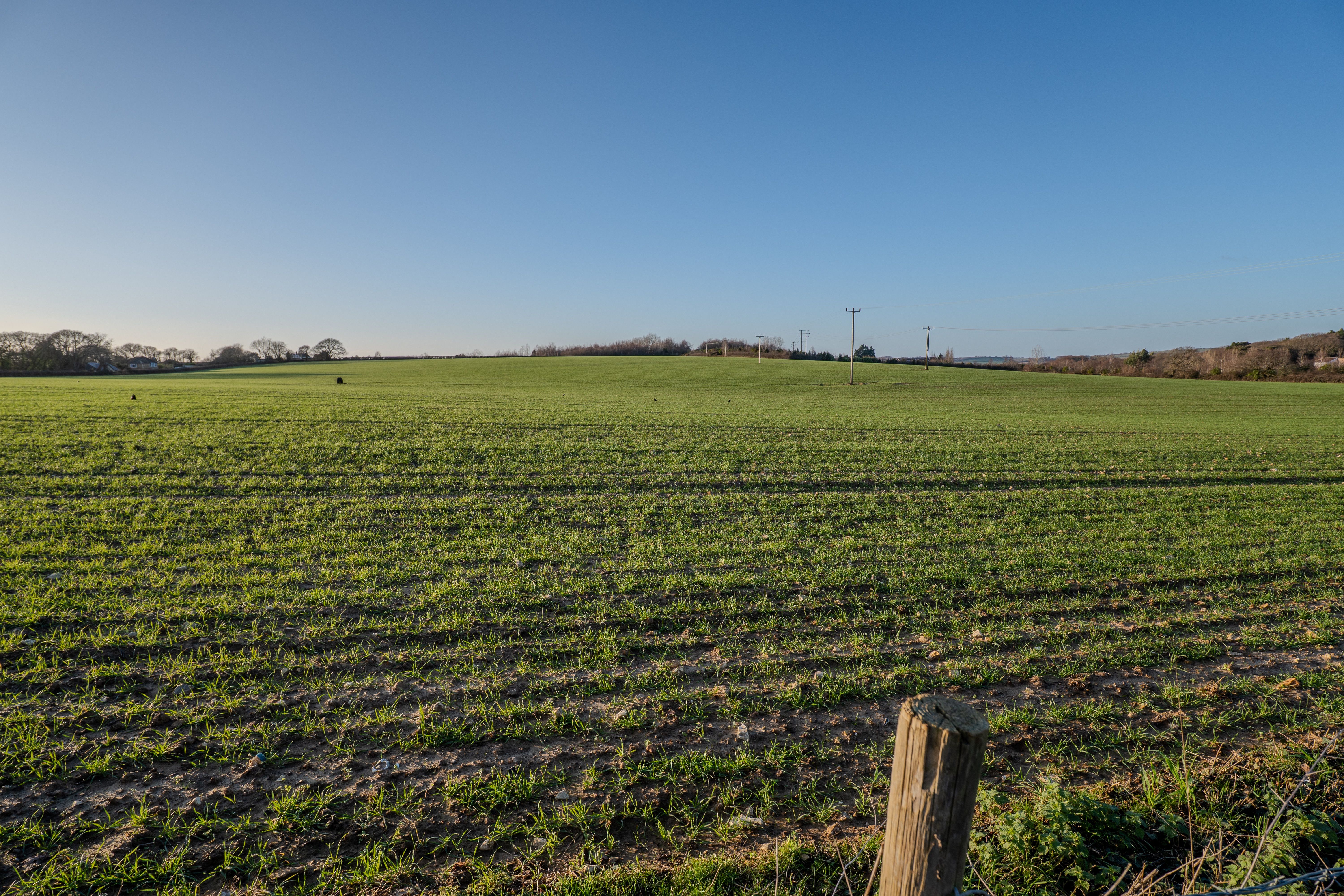 Expansive Green Field Under Clear Blue Sky · Free Stock Photo
