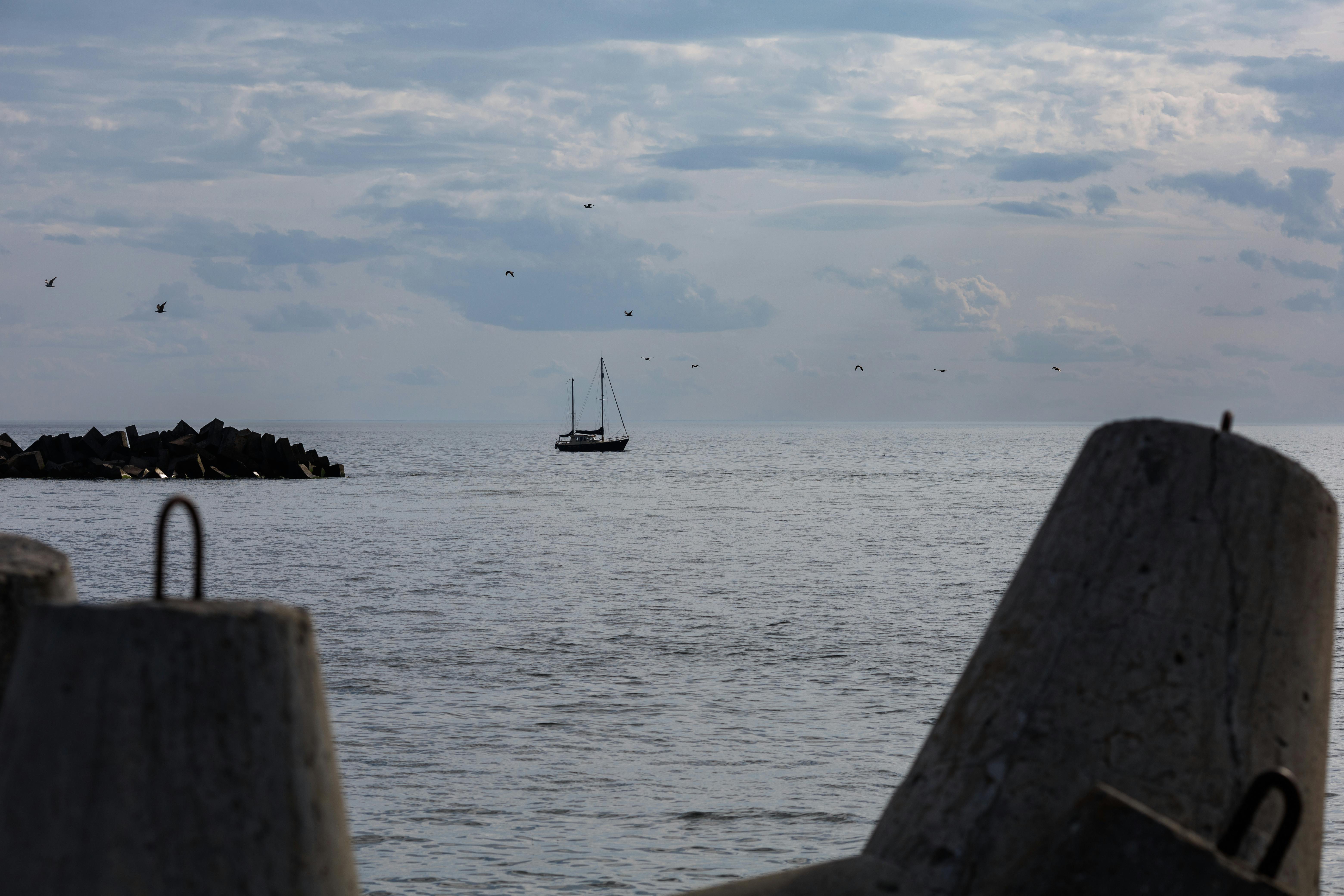 Rare Genetic Traits in Marine Species: Unlocking Nature's Mysteries