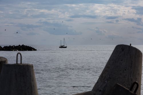Free Tranquil ocean scene with a sailboat and birds near a concrete breakwater. Stock Photo