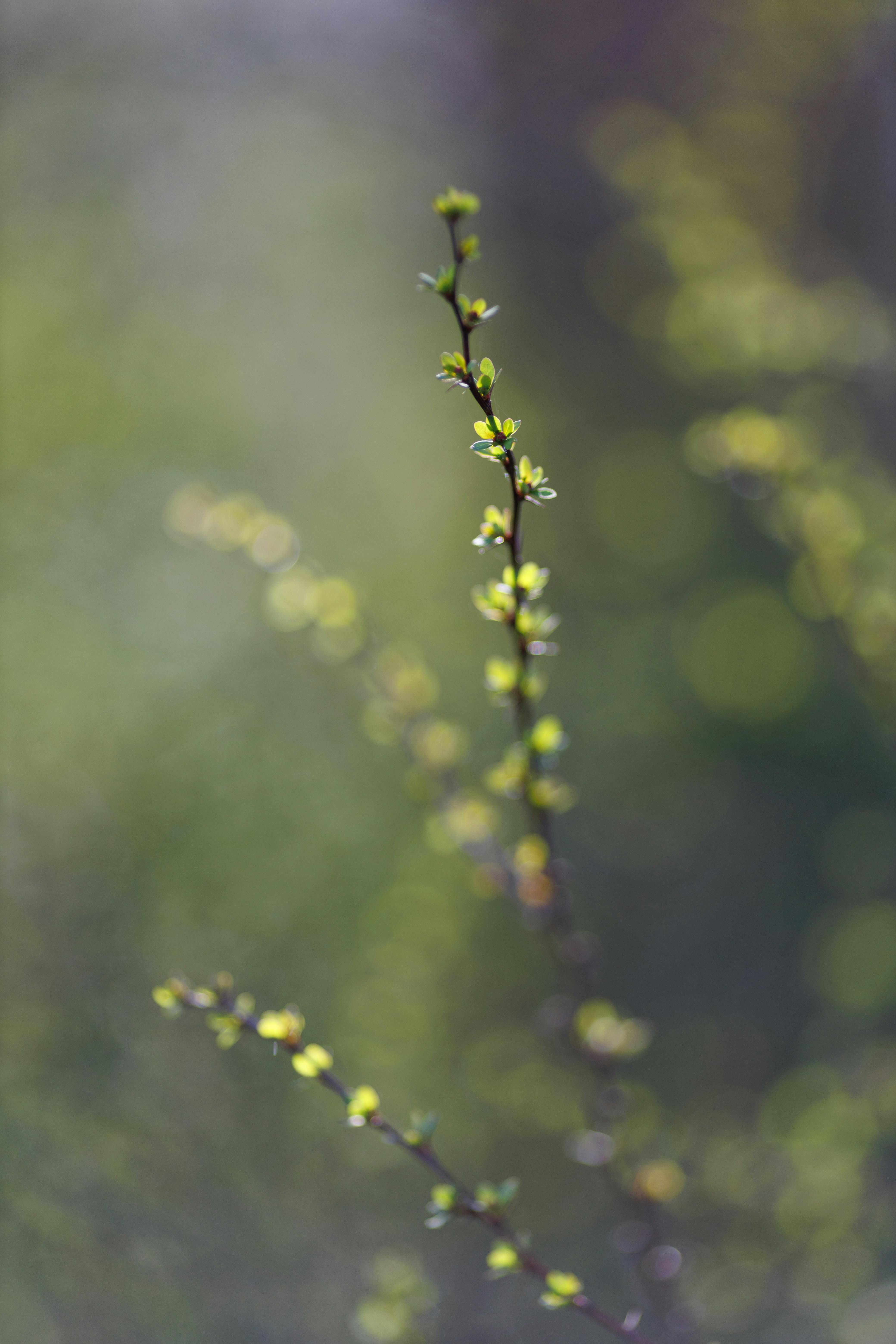 Have you had a sudden growth spurt recently?