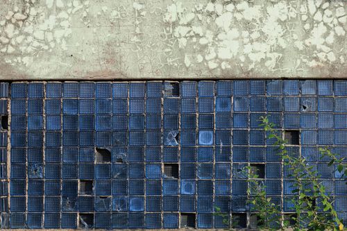 Free Wall with cracked blue square glass tiles and greenery growing nearby. Stock Photo