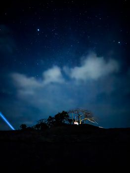 Beautiful starry night sky above trees silhouetted on a hill in Sri Lanka.